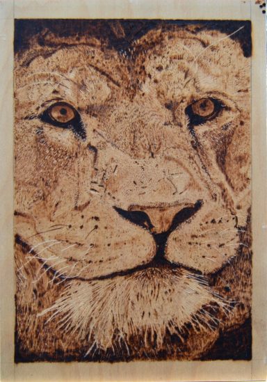 Lion Lion