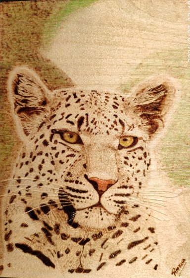 Leopard Leopard